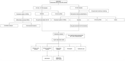 Uncovering the Achilles heel of genetic heterogeneity: machine learning-based classification and immunological properties of necroptosis clusters in Alzheimer’s disease